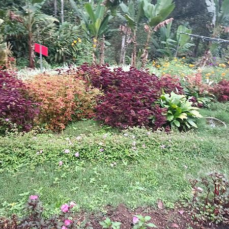 God'S Gift Villa Devikolam Ngoại thất bức ảnh
