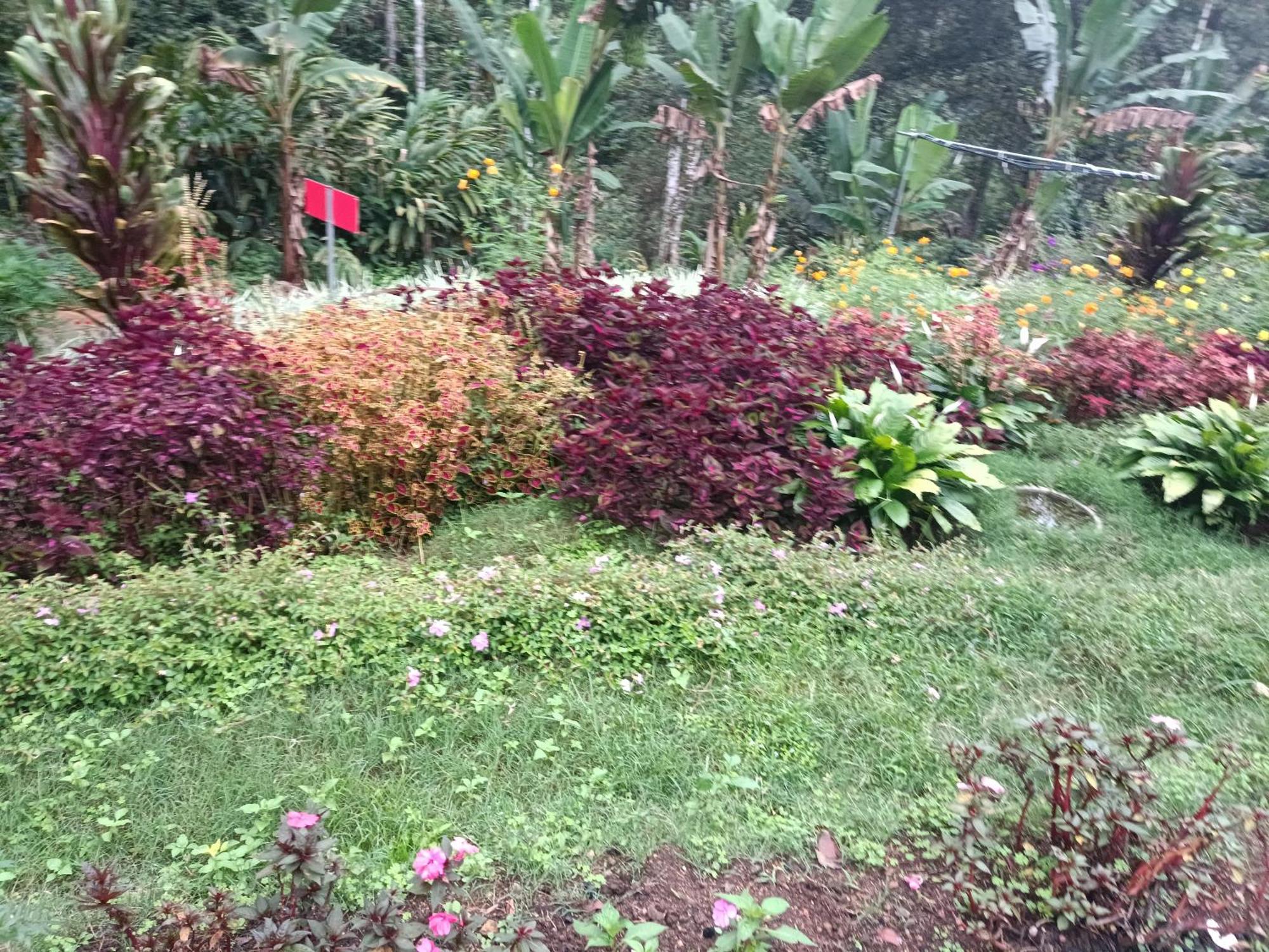 God'S Gift Villa Devikolam Ngoại thất bức ảnh